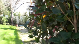 Kat Kiss- Twisted Vision