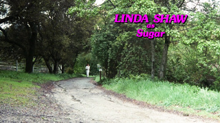 They Were A Sorority Of Sweethearts (1080)