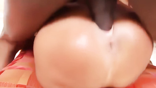 Lisa Ann Fucks a Big Black Cock