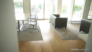 Novella Night - No limits, no compromise (15.12.2025) rq