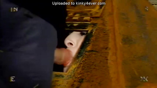 Hooded - Insex 2 (480)