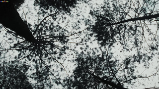 Amirah Adara And Zazie Skymm When The Past Came Home