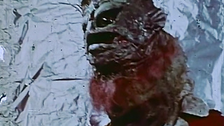 Love From Space (USA 1972, Nora Wieternik) (720)