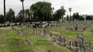 Lost Love (2019) (1080)