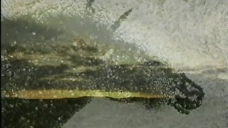 Hercules XXX - A Sex Adventure (1997) (480)