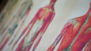 Supergirl Gets Kryptonite As Bad Medicine (1080)