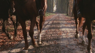 The Sex Adventures Of The Three Musketeers 1971 (1080)