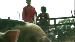 Hungarian Farmer (480)