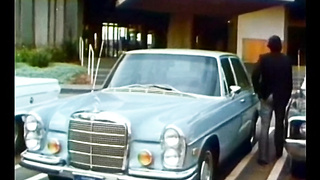 Meadows Apartments (USA 1974, Becky Sharpe) (720)