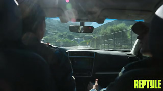 Porn - Avery Wilds (21.01.2026) rq 2 video