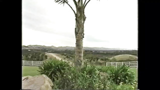 Nature (Full Movie. Lauren Brice, Renee Foxx, Sunny Mc Kay, Brittany) 1990 (720)