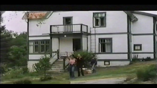 Heisse Schwedinnen (720)