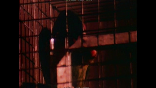 Hillbilly Resistance (USA 1979, Desiree Cousteau, Juliet Anderson) (720)