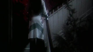 Happy Holidays (2160)