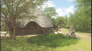 Kruger Park Spanish (1080)