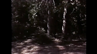 Dreamy Debauchery (USA 1993, Debi Diamond, Shayla La Veaux) (720)