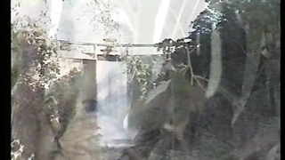 Out In The Countryside (USA 1989, Kelly Blue, Deidre Holland) (720)