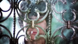 A Secrete Love In Summer (Italy Switzerland France 1980) (English Sub) (1080)