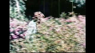 Toys Are Them (USA 1977, Sylvia Benedict, Janet Long) (720)