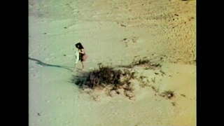 Botched Heist (USA 1977, Unknown Cast) (720)