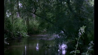 Parties Carres Campagnardes AKA Country Orgies (France 1980) Serena (English Dub) (1080) (1)