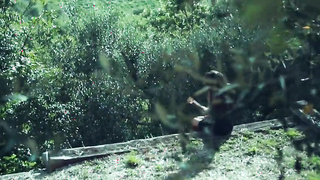 Enyjoing Olive Trees 2 (2020) Lorena B