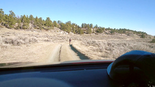 Stranded Hiker is VERY Thankful for the Ride ;)