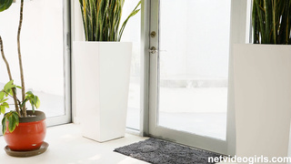 a busty sex-crazed CHEATER