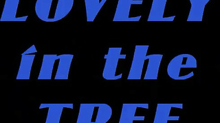 Pkf - Lovely in the Tree