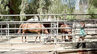 Wife Cheating Porn Free 2022.06.17 Aaliyah Love XXX Video