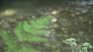 Sexy Busty Teen 2022.07.12 A Day In The Life Of Mila A XXX