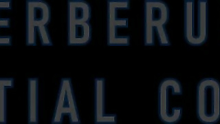 Cerberus Confidential