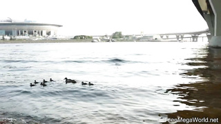 Mia Parker - Lad teases sexy cuties pussy....anal