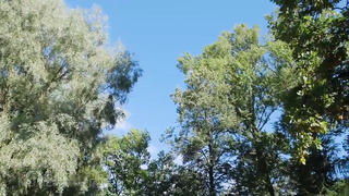 Rssian blonde fills all her holes