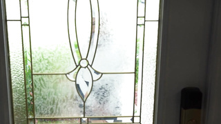 XXX Video - Expert Level Porn