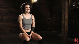 H o g T i e d 2022.12.26 Brooklyn Gray XXX