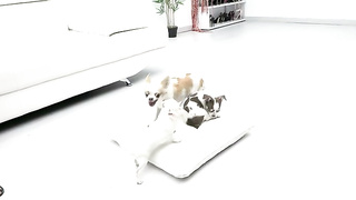 P u t a L o c u r a 2023.02.17 Marsianna Amoon SPANISH XXX