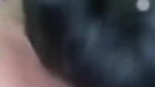 Porn Reel #48 - Nisha Gurgain