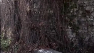 maximum perversum 64 exzesse mit wein weib und gesang (1997)