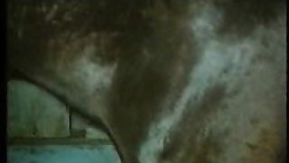 FREE PORN - MARINA IL CAVALLO E LO STALLONE FAKE HORSE DICK