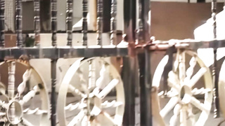 Celebrity Niharika raizada