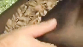 Twitter LPTop 134 video