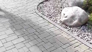 A slut being used 158