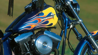 Ornella Morgan - Totally Natural