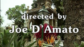 Don Salvatore Monica Orsini (1995)