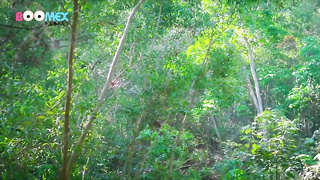 Young desi girl fucking in forest