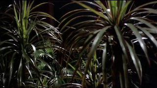 Die Sklavinnen Part 1 Slave Woman VINTAGE