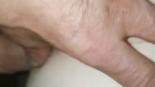 Wet Meaty Box For My Sausage