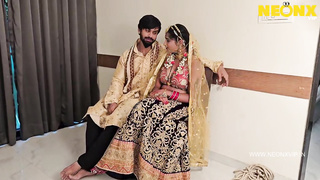 Desi Honeymoon (2024)