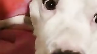 The harsh reality of American drug addicts